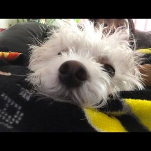 Meet your Posher, Maria